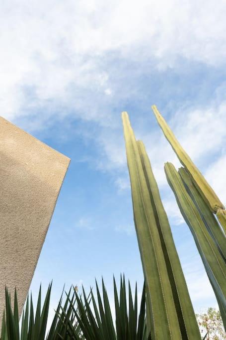 Desert Princess Villa Palm Springs Area Cathedral City Zewnętrze zdjęcie