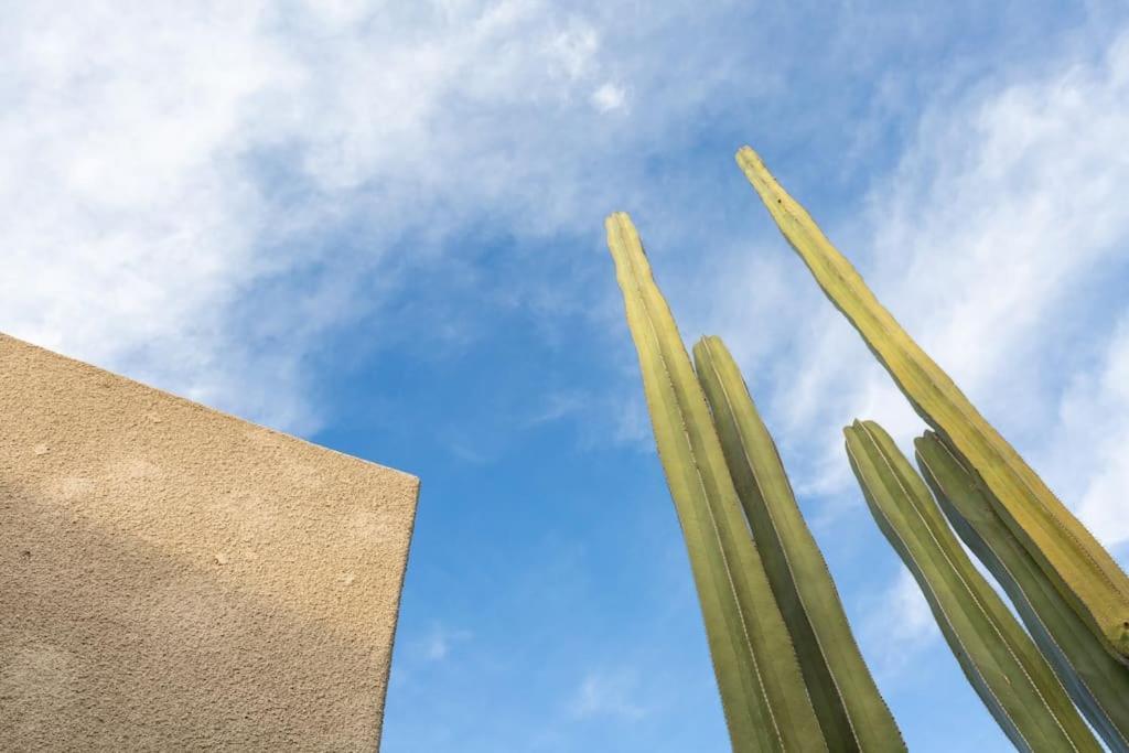 Desert Princess Villa Palm Springs Area Cathedral City Zewnętrze zdjęcie